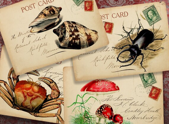 Nature Printable Download Digital Collage Sheet Chikuna Art Etsy