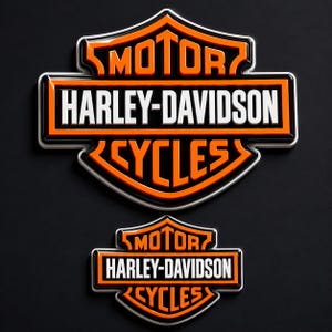 2 st Harley-Davidson-stil 3D-kupad gelmotorcykelemblemdekal, vattentät hartsmärke