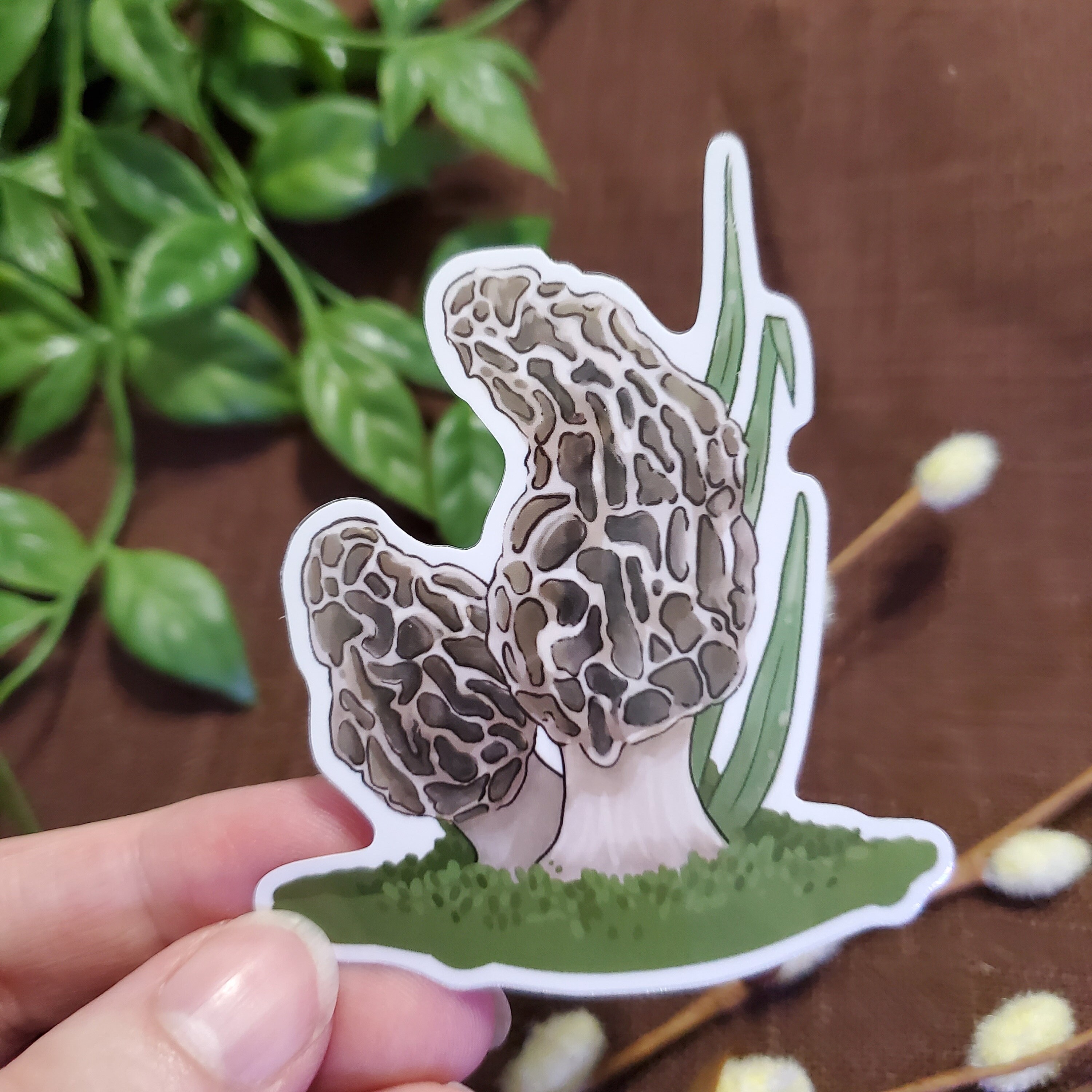 専用オーダー Morel Mushroom Sticker - Etsy Ireland