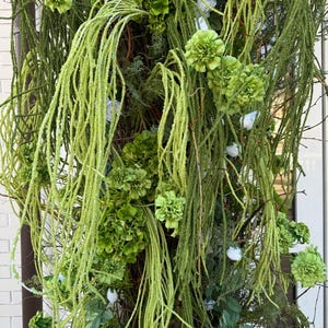 May include: A close-up of a floral arrangement with a variety of green foliage and flowers. Long, thin strands of light green plants cascade downwards, complemented by clusters of bright green blooms and small white flowers. The arrangement has a natural, textured appearance.