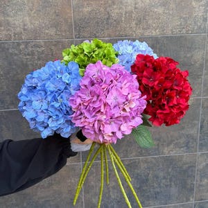 May include: A vibrant bouquet of hydrangeas in shades of blue, green, purple, and red. The flowers are clustered together, with green stems extending from the base. The background is a textured, neutral-toned wall.