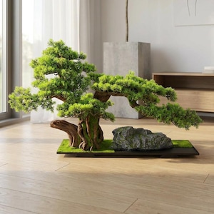 Pode incluir: Uma árvore bonsai em miniatura com folhagem verde vibrante e um tronco marrom texturizado. A árvore está em uma base preta retangular com musgo verde e uma rocha cinza. A cena é em ambientes internos com luz natural.