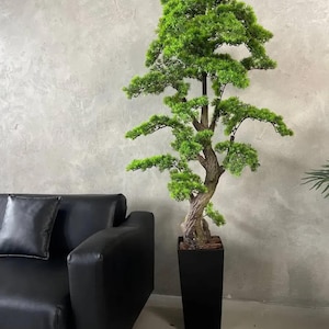 Könnte beinhalten: Ein künstlicher Bonsai-Baum mit leuchtend grünen Blättern und einem strukturierten braunen Stamm, der in einem schwarzen rechteckigen Pflanzgefäß steht. Der Hintergrund ist eine graue Wand und ein schwarzes Ledersofa. Dekoration.