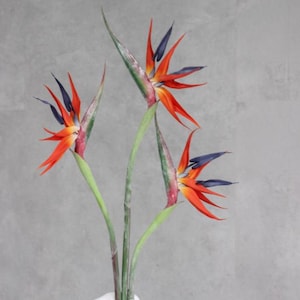 Op de afbeelding: Drie paradijsvogelbloemen met levendige oranje, blauwe en groene tinten. De bloemen worden bij elkaar gehouden door hun stelen. De achtergrond is effen grijs.