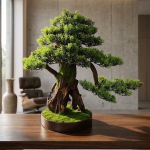 Può includere: Un bonsai meticolosamente realizzato con un fogliame verde vibrante e un tronco marrone strutturato. Il piccolo albero è piantato in un vaso circolare marrone scuro pieno di muschio verde, posto su un tavolo di legno lucido. La scena è ambientata in un interno moderno e ben illuminato.