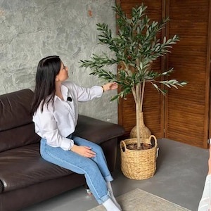 Artificial Olive Tree 150cm, Faux Olive Tree in Woven Pot, Mediterranean Indoor Decor, Fake Olive Plant, Large Artificial Tree, Boho Home