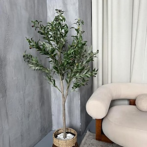 May include: A decorative olive tree in a woven basket. The tree has green leaves and small black olives. The basket is made of natural fibers and filled with white stones. The tree is placed in a corner next to a gray wall and a cream-colored sofa.