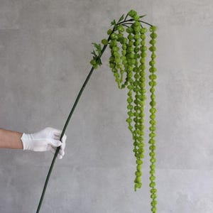 Puede incluir: Un largo tallo de planta artificial verde con racimos en cascada en forma de cuentas. El tallo es sostenido por una mano enguantada sobre un fondo gris. El color verde vibrante de la planta añade un toque de naturaleza a cualquier decoración.