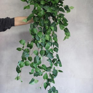 Puede incluir: Una planta artificial colgante con exuberantes hojas verdes. La planta presenta múltiples tallos y un diseño en cascada, ideal para agregar un elemento natural a los interiores. Las hojas son una mezcla de verde claro y oscuro.