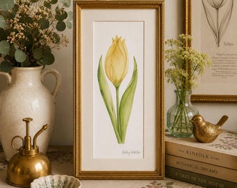 Bergamo Tulip - Original Watercolor Painting