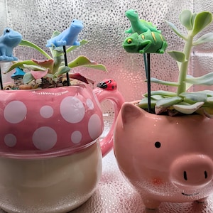 May include: Two ceramic planters, one shaped like a mushroom and the other a pig, each holding succulents. The mushroom planter is pink with white polka dots, and the pig planter is light pink. Decorative frog stakes add a whimsical touch.