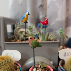 May include: Three miniature bird figurines perched on thin green metal stakes. One bird is blue and yellow, one is bright red, and the central bird is green with a pink chest and a black beak. These decorative garden picks are inserted into small pots.