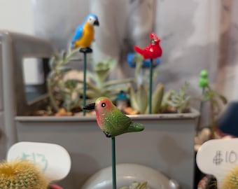 Pianta per uccelli