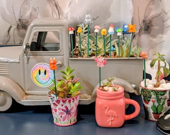 Plant Pals (3 Stück) für 2 Tiere / 1 Pilz