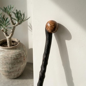 Puede incluir: Un bastón con un eje de madera oscuro, texturizado y nudoso, y un mango esférico de madera lisa y pulida con un patrón de vetas arremolinadas en tonos marrón claro y medio, que contrasta con el eje oscuro e irregular.