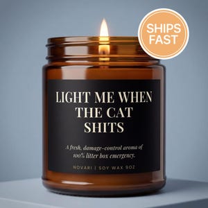Light Me When The Cat Shits Soy Candle, Funny Cat Gift, Novelty Jar for Cat Owners, Cat Mom Cat Dad Litter Box Candle