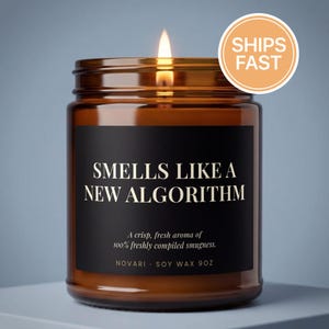 May include: A lit soy wax candle in an amber glass jar with a black label. The label reads: SMELLS LIKE A NEW ALGORITHM, A crisp, fresh aroma of 100% freshly compiled smugness. NOVARI SOY WAX 9OZ. The candle features a single burning wick.