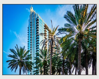 Tampa Wall Art: Downtown Skyline - Tropical Palm Tree Decor