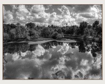 Myakka River Landscape Print - Monochrome Florida Nature Photo