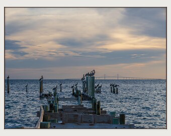 Rod & Reel Pier, Anna Maria Island | Coastal Wall Art | Florida Photography
