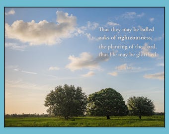 Oaks of Righteousness Scripture Wall Art | Isaiah 63:1 |SW Florida
