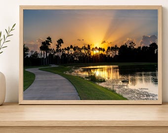 A Florida sunset featuring dramatic crepuscular rays over a line of palm trees.