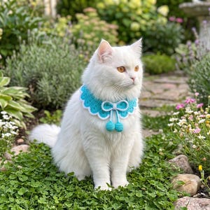 May include: A white cat wearing a turquoise and white crocheted collar with a bow and two small pom-poms. The cat is sitting in a garden with green foliage and colorful flowers.