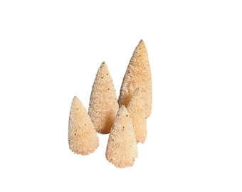 Department 56 Snowbabies landschapsset 56.69026 Crème sisal-flessenborstelbomen