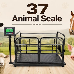 Könnte beinhalten: Eine schwarze Tierwaage aus Metall mit rechteckiger Plattform, Seitengittern und einer Digitalanzeige, die 0.00 anzeigt. Der Text 37 Animal Scale steht darüber, umgeben von Illustrationen einer Kuh, Ziege, eines Schafs, Pferdes und Schweins.