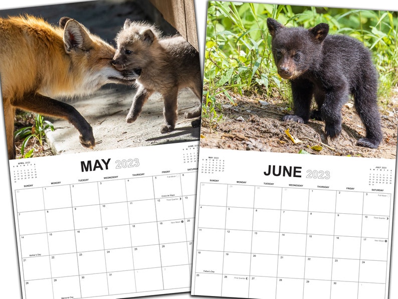2023-wildlife-photography-calendar-animal-wall-calendar-etsy