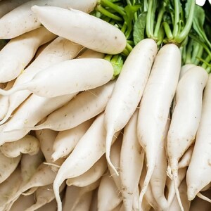May include: A large cluster of fresh daikon radishes featuring elongated, smooth white roots and vibrant green leafy tops. The radishes are densely packed together, showcasing their cylindrical shape, tapered ends, and crisp texture.