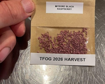 Mysore Tropical Raspberry Seeds - 1 gram package