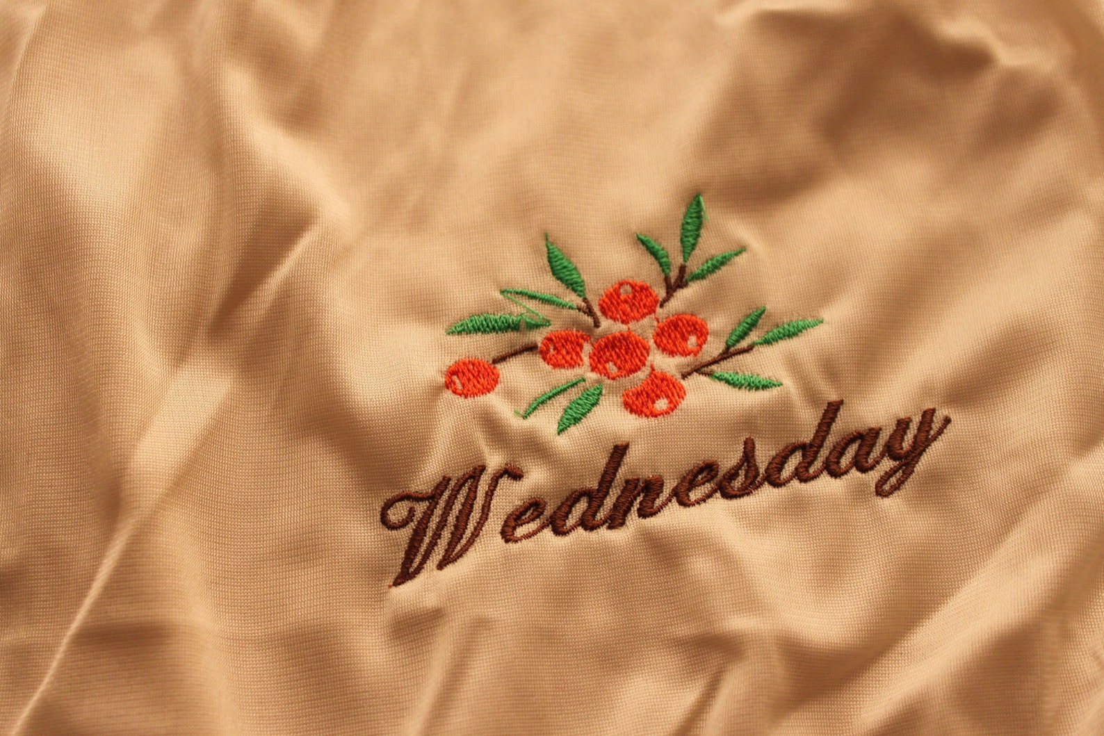 VintageStyle Days of the Week Panties Set of 7 Etsy