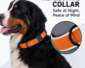 Personalized Embroidered Dog Collar, Custom Pet Name & Phone Number, Adjustable Dog ID Collar, Gift for Dog Moms