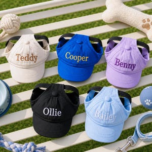 May include: Five pet baseball caps with ear holes, each featuring an embroidered name. The caps are cream with 'Teddy', blue with 'Cooper', purple with 'Benny', black with 'Ollie', and light blue with 'Bailey'. Each hat has a black strap.