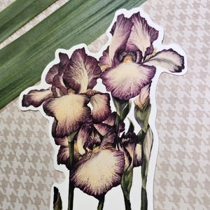 May include: A sticker featuring a close-up of three purple and white iris flowers with green stems and leaves.