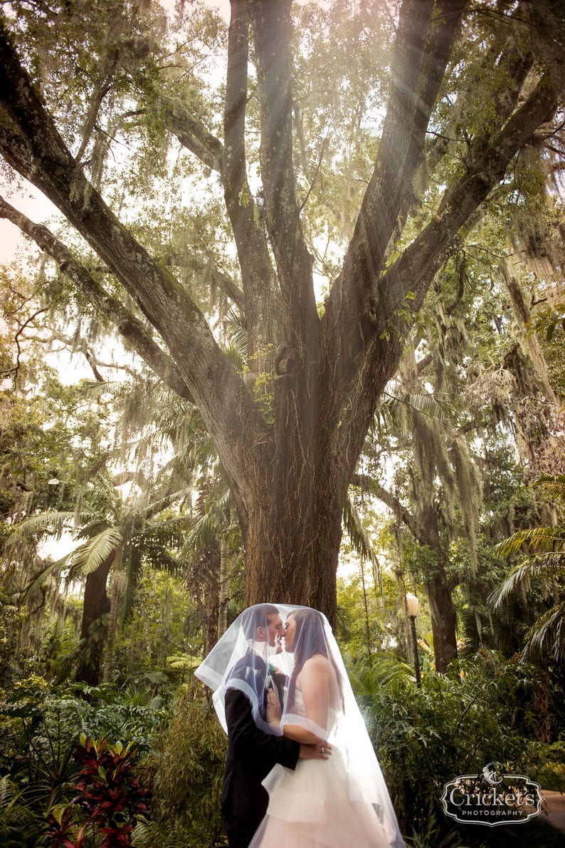 Cathedral veil with 2 inch horse hair trim 108 inches wedding veil with 2 inch horse hair trim long veil bridal veil image 2