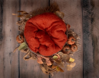 Wool Fluff , Filler, Merino Wool, Basket Stuffer, Photo Prop newborns, Burnt Orange