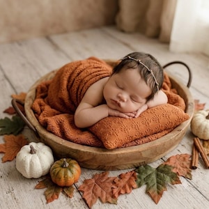 May include: A sleeping infant wrapped in a textured burnt orange fabric, resting inside a round wooden bowl. The infant wears a thin beaded headband. The bowl is surrounded by artificial autumn leaves, small white and green pumpkins, and cinnamon sticks.