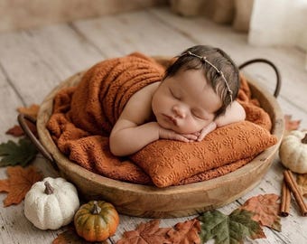 Small Pillow or Layer Blanket: Lace Texture, Fall Cinnamon color, Newborn Photography Prop
