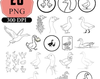 Gans clipart png bundel, zomergans png, gans sticker png, veranda gans png, grappige gans ontwerpen png, digitale download, png, nu populair