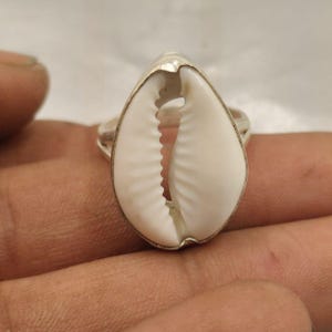 Può includere: Un anello d'argento con una conchiglia di ciprea bianca. La conchiglia, con la sua texture e forma naturale, è il punto focale. L'anello ha una fascia in argento lucido.