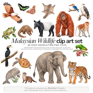 Op de afbeelding: Een digitale collectie illustraties van Maleisische wilde dieren, waaronder een olifant, tijger, orang-oetan, tapir, schubdier, zeeschildpad en diverse vogels, insecten en zoogdieren. De tekst luidt Malaysian Wildlife clip art set 48 high-resolution PNG files.