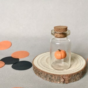 Message in a Bottle - Halloween Pumpkin - miniature