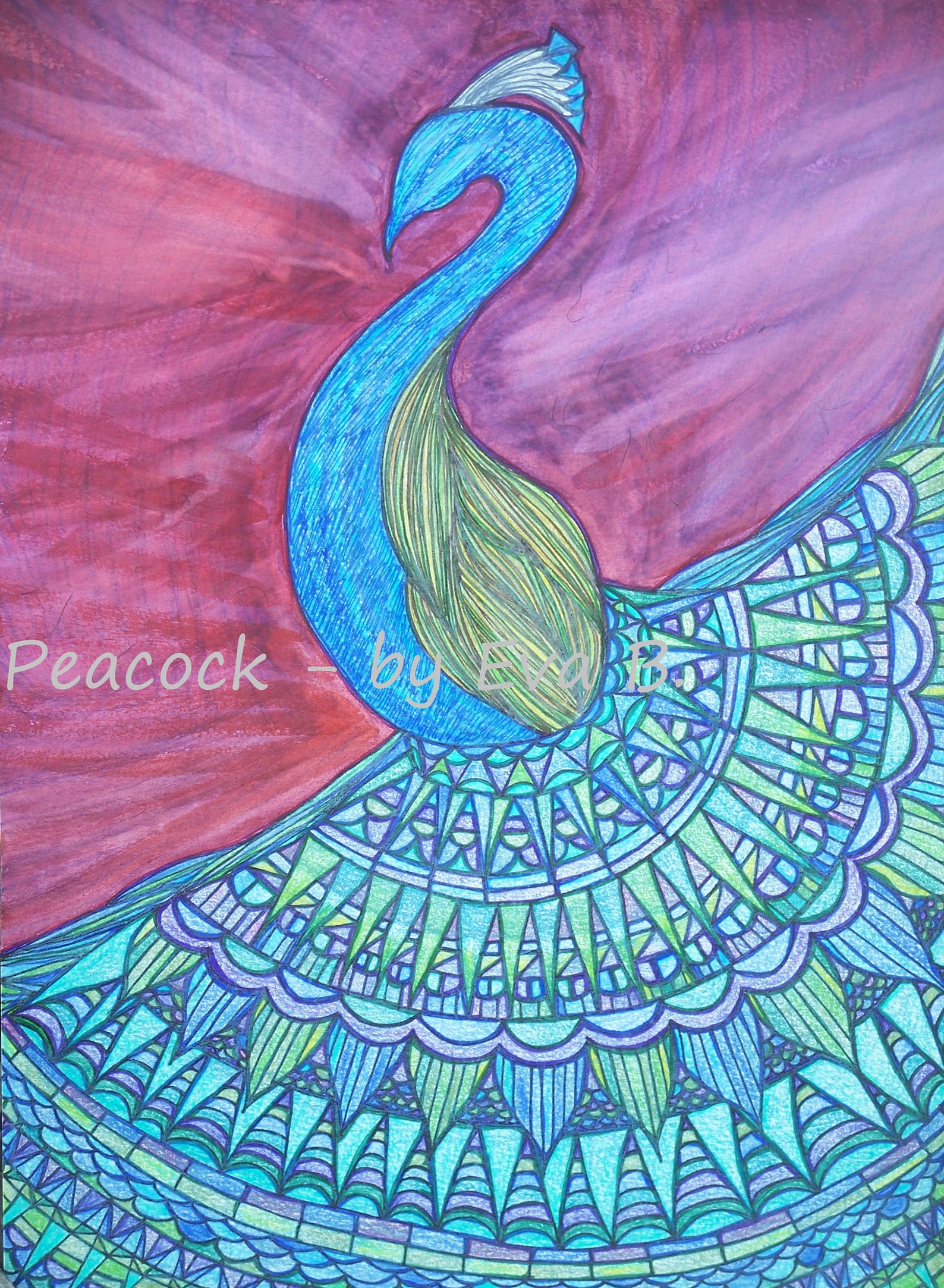 Peacock Art Peacock Painting Peacock Drawing Peafowl Art Bird Art Bird
