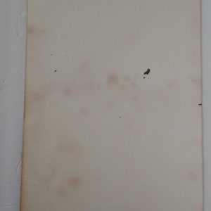 May include: A blank white card with a handwritten signature and the date "8 2021" in the bottom right corner.