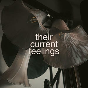 May include: A close-up of a decorative floral lamp with a soft, muted color palette. The text "their current feelings" is displayed in white, adding a touch of introspection. The lamp's design features delicate, petal-like shades.