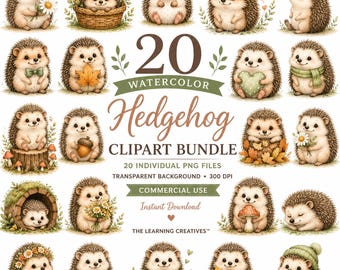 Watercolor Hedgehog Clipart Bundle, Woodland Nursery Graphics, Baby Animals (Digital Download), Excellent Gift!