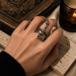 Può includere: Un anello a forma di serpente color argento. L'anello si avvolge attorno al dito, con la testa e la coda del serpente che formano le estremità. Il serpente presenta squame dettagliate e una superficie strutturata. L'anello è indossato su una mano.