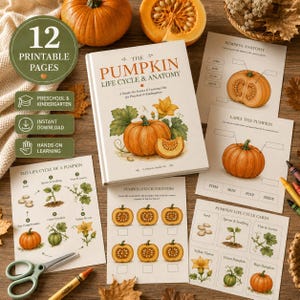 May include: A set of 12 printable educational pages titled The Pumpkin Life Cycle & Anatomy, featuring illustrations of pumpkins, seeds, and vines. The pages include activities like labeling pumpkin parts, counting, and life cycle cards for children.